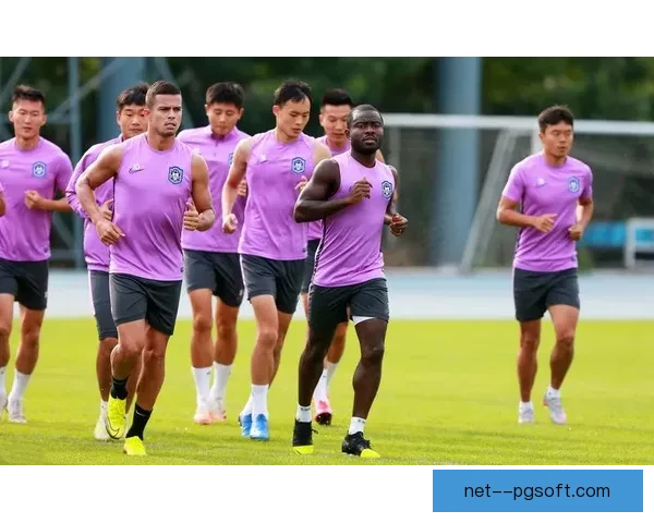 中国足协职业联赛财务审计与管理规范研究分析